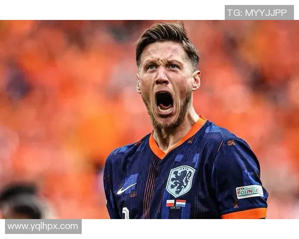 法国队逆转荷兰队以二比一获胜展现强大实力