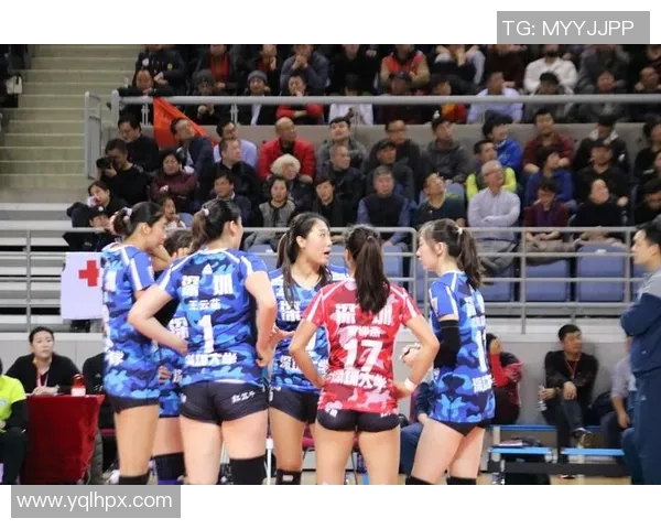 辽宁女排对阵八一女排精彩直播全程回顾与赛后分析