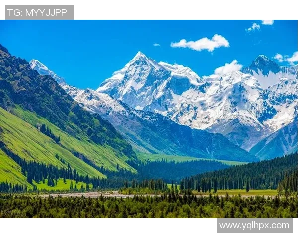 新疆天山与黑龙江的自然风光与文化魅力深度对比探讨 新疆天山与黑龙江的自然风光与文化魅力深度对比探讨