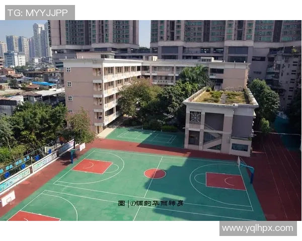 深圳篮球队的华丽转身与未来展望:大师赛特别报道 深圳篮球队的华丽转身与未来展望:大师赛特别报道