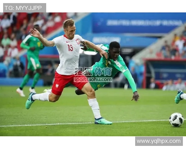 美国与波兰激战正酣比赛结果揭晓引发热议