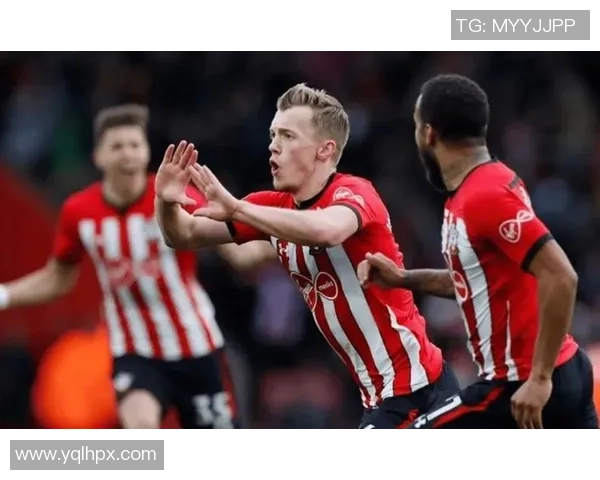 西布罗与南安普数据分析揭示比赛走势与球队状态对比