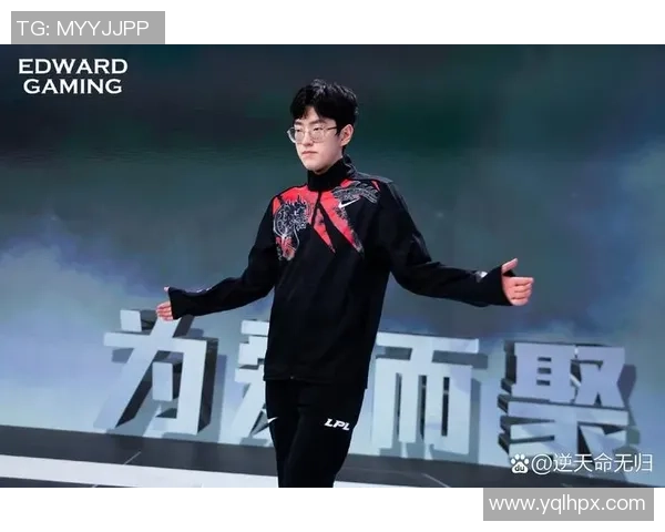 英雄联盟盛宴：深入剖析RNG战队的默契配合与战略布局