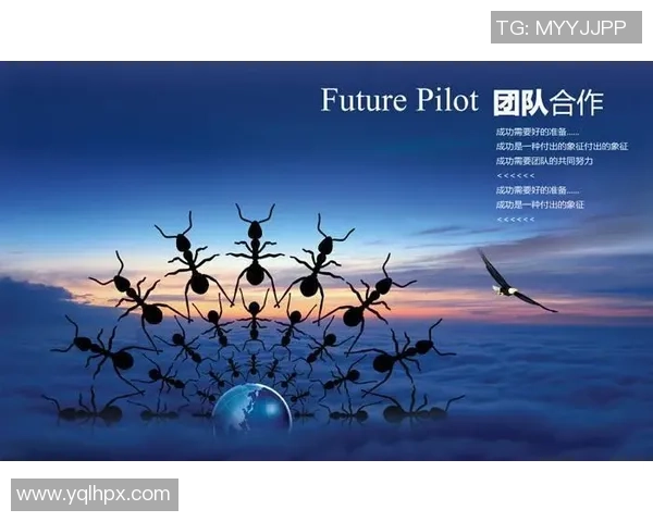 深圳马拉松赛中攀岩队的团队意识与表现分析