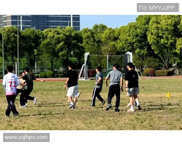 成都飞盘队的战术解析与控制体系探讨提升团队协作与比赛表现
